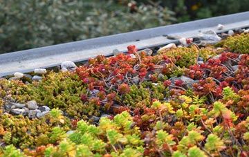 the cost of Braewick green roof installation