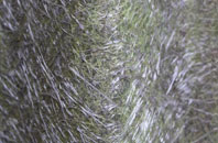 Braewick fibreglass roof work